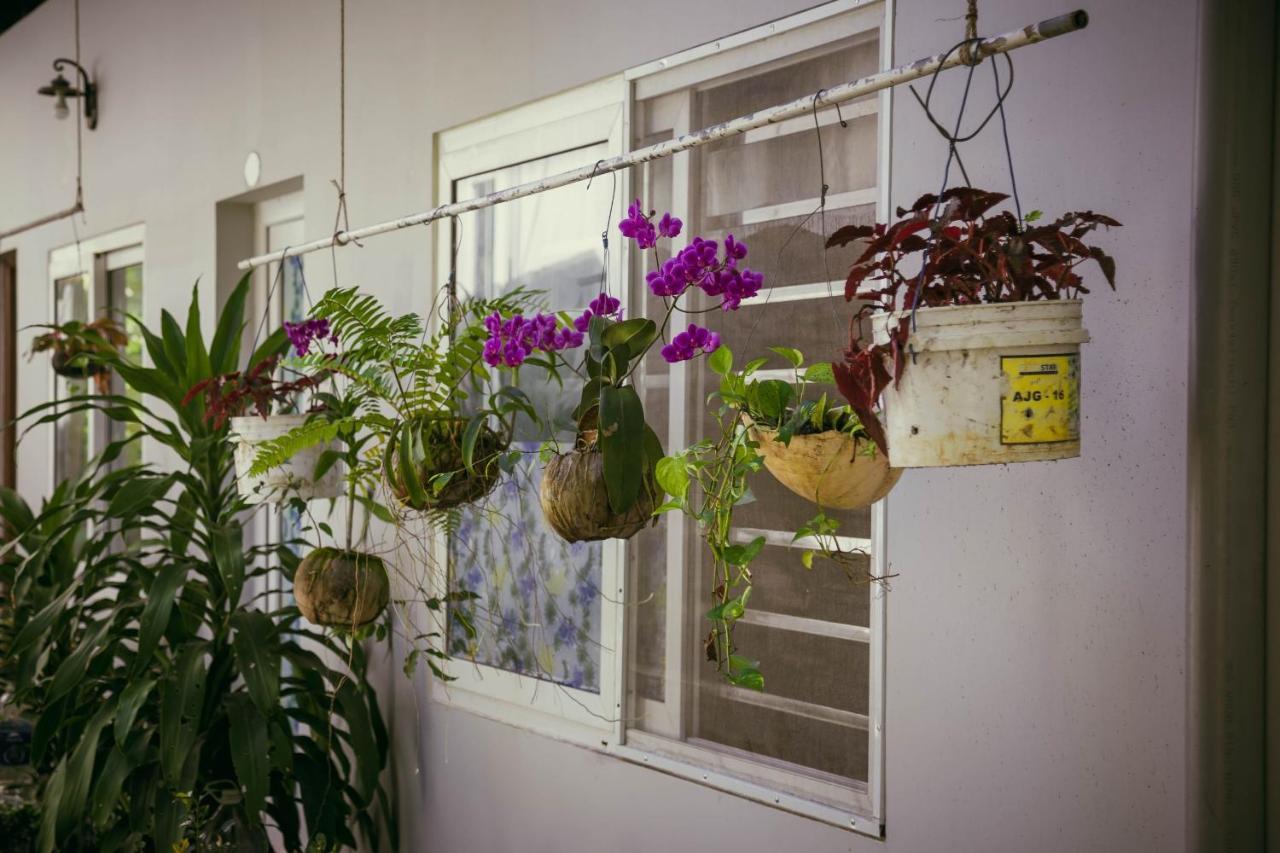 Manh Duyen Garden Homestay Phú Quốc Ngoại thất bức ảnh