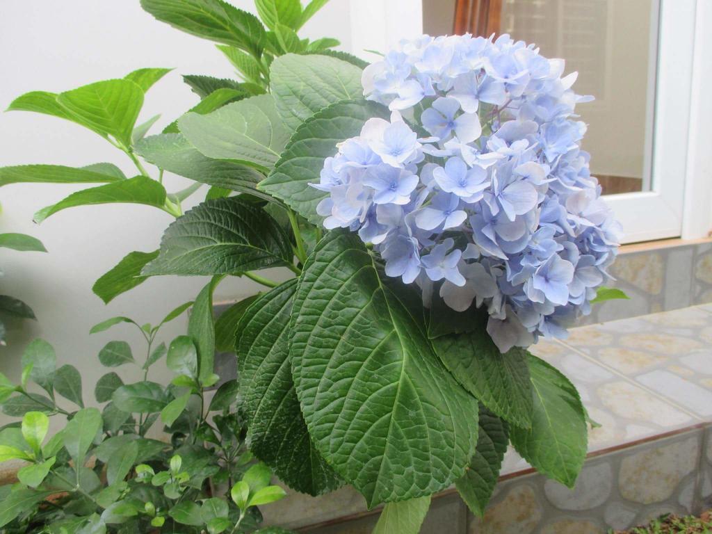 Manh Duyen Garden Homestay Phú Quốc Ngoại thất bức ảnh