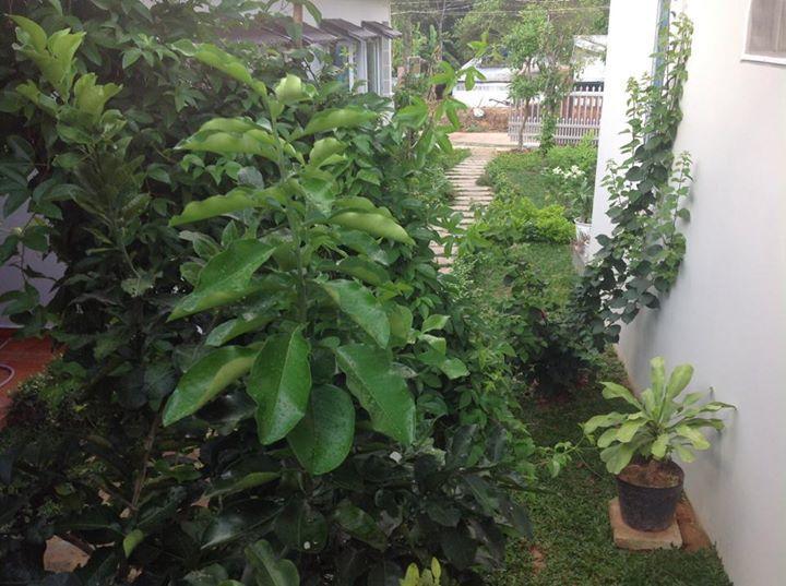 Manh Duyen Garden Homestay Phú Quốc Ngoại thất bức ảnh